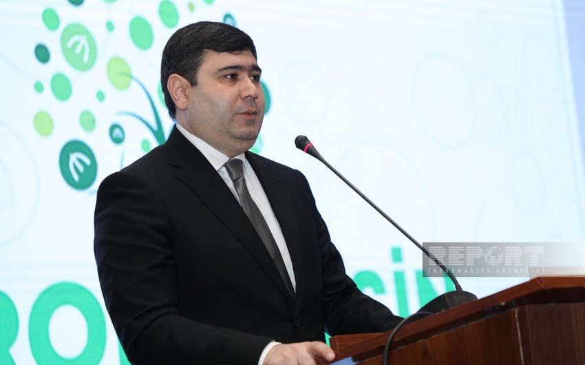 AMB: “Biznes kreditlərində kənd təsərrüfatının payı 22,5 %-ə çatıb”