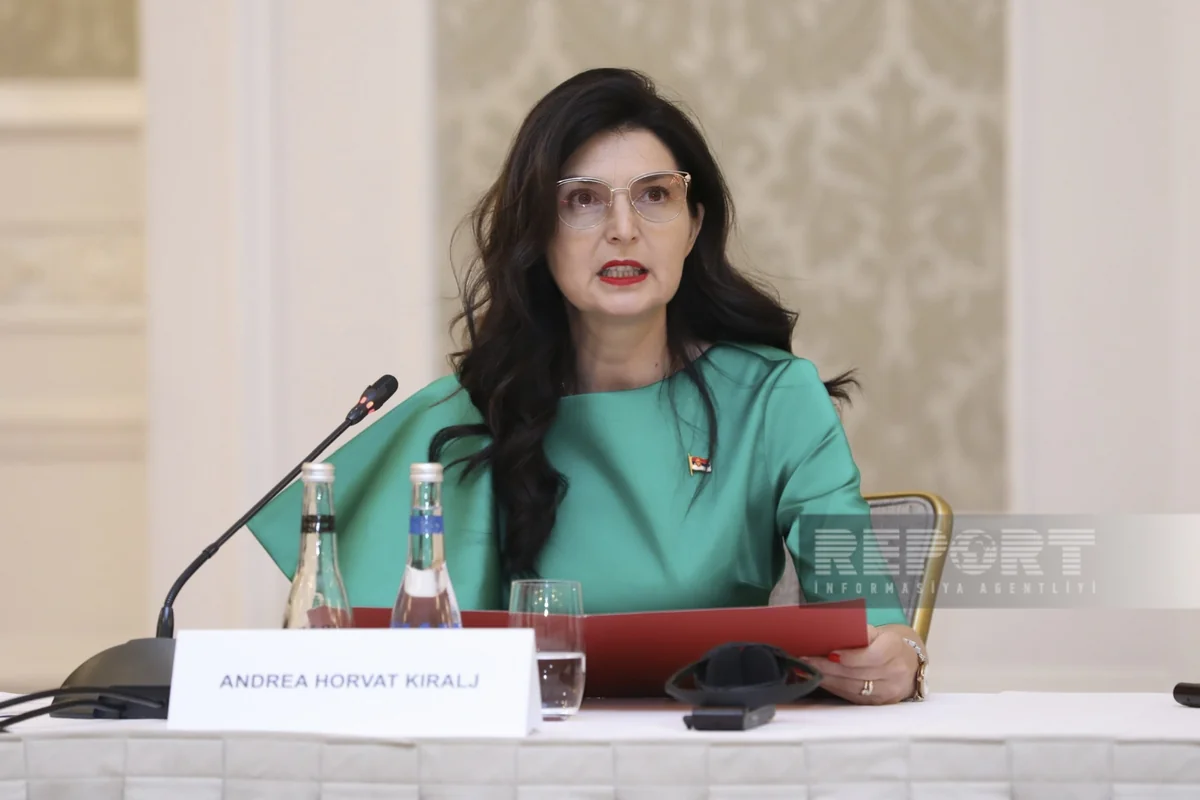 Serbia ready to support Azerbaijani investors