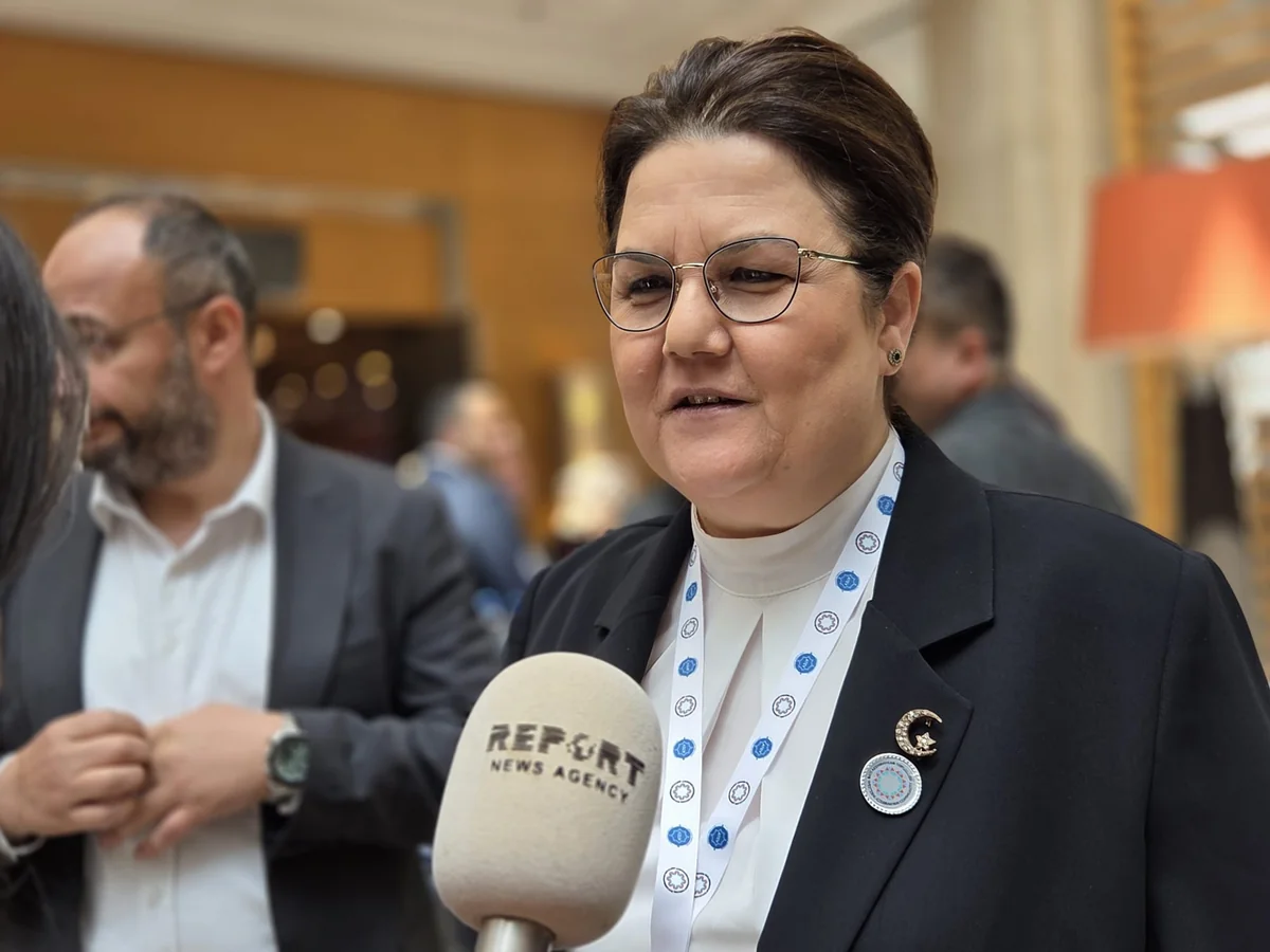 MP: Western Azerbaijanis should become national matter for Türkiye