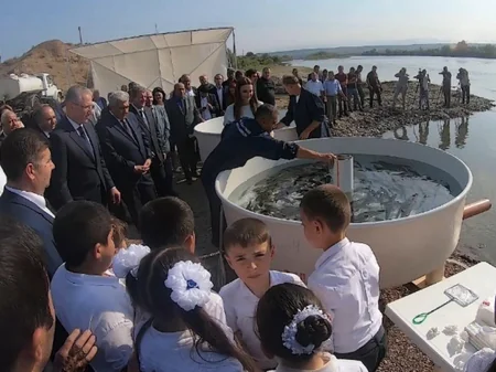 Tovuzda Kür çayına körpə balıqlar buraxılıb