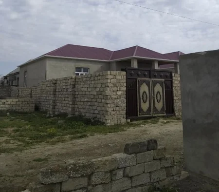 Asan qazanc hərisliyi COVID-19-dan daha yaşlı və qorxuludur - ARAŞDIRMA