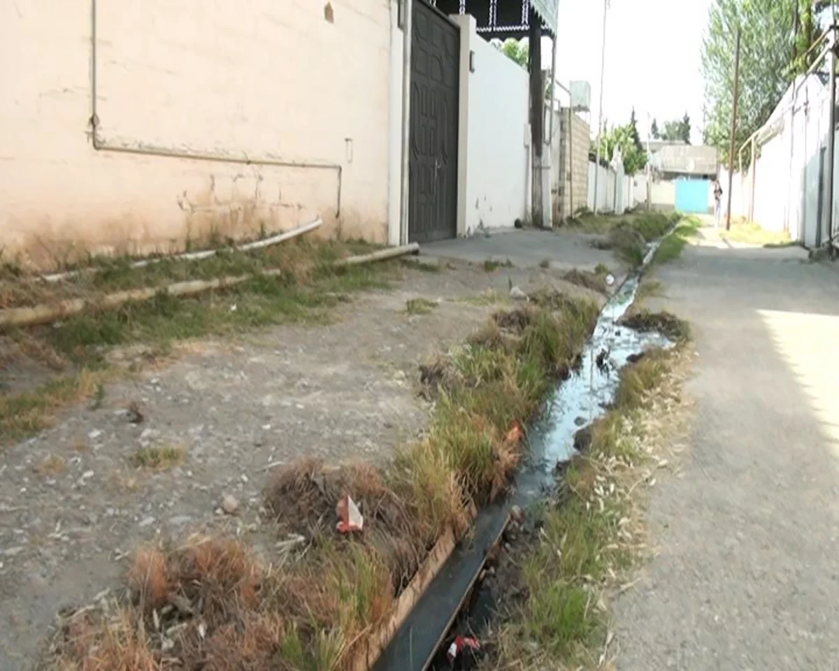 Kürdəmirin mərkəzi küçəsinin mövsümi qonaqları: yayda üfunət, qışda sel suları - REPORTAJ
