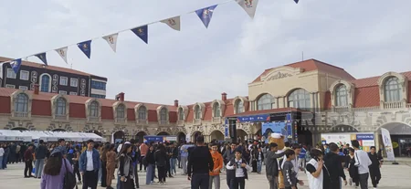 Naxçıvanda Peşələr Festivalı keçirilib - YENİLƏNİB