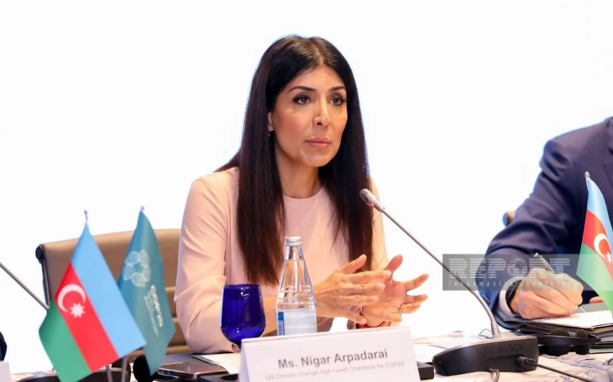 Nigar Arpadarai: Qlobal İqlim Fəaliyyəti Gündəliyini irəliyə aparmaq olar