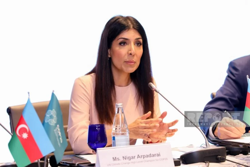 Nigar Arpadarai: Qlobal İqlim Fəaliyyəti Gündəliyini irəliyə aparmaq olar