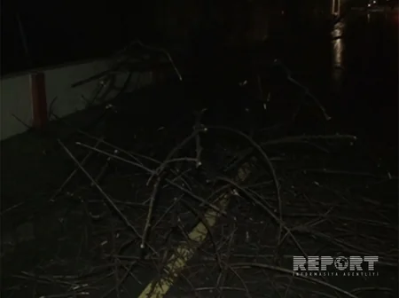 Lənkəranda leysan yağış yağması nəticəsində bəzi həyətləri su basıb - FOTO