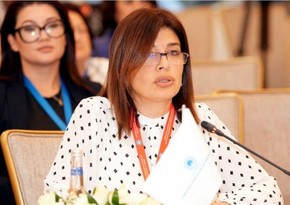 Günay Əfəndiyeva: Qərbi Azərbaycan irsini bərpa etmək və gələcək nəsillərə ötürmək qarşıya məqsəd qoyulub