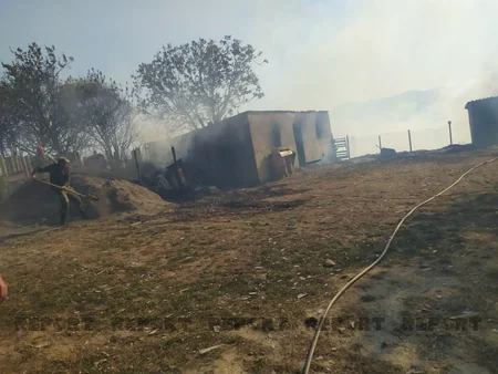 Şabranda meşə yanğını evə keçib, 3 ev yanır