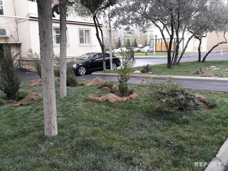 BŞİH: Bakının bütün rayonlarında abadlaşdırma işləri davam etdirilir