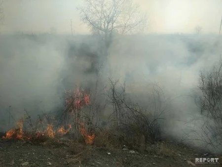 Qatı tüstü Şəkidə avtomobillərin hərəkətinə mane olur - FOTO - VİDEO