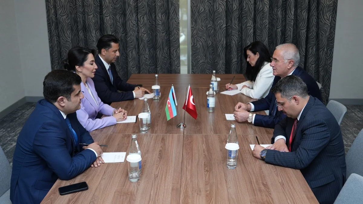 Azərbaycan və Türkiyə ombudsmanları birgə əməkdaşlığı müzakirə edib