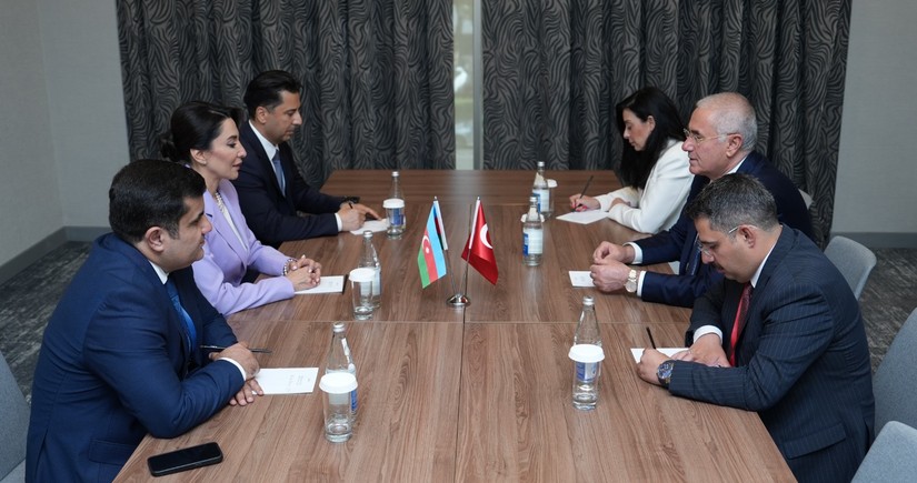 Azərbaycan və Türkiyə ombudsmanları birgə əməkdaşlığı müzakirə edib