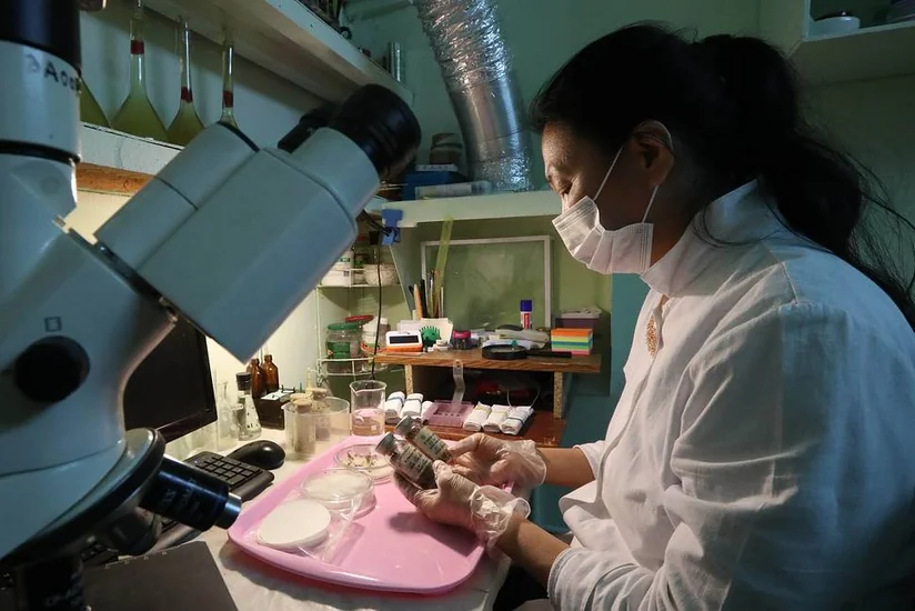 Ученые назвали сроки сохранения антител у людей после COVID-19