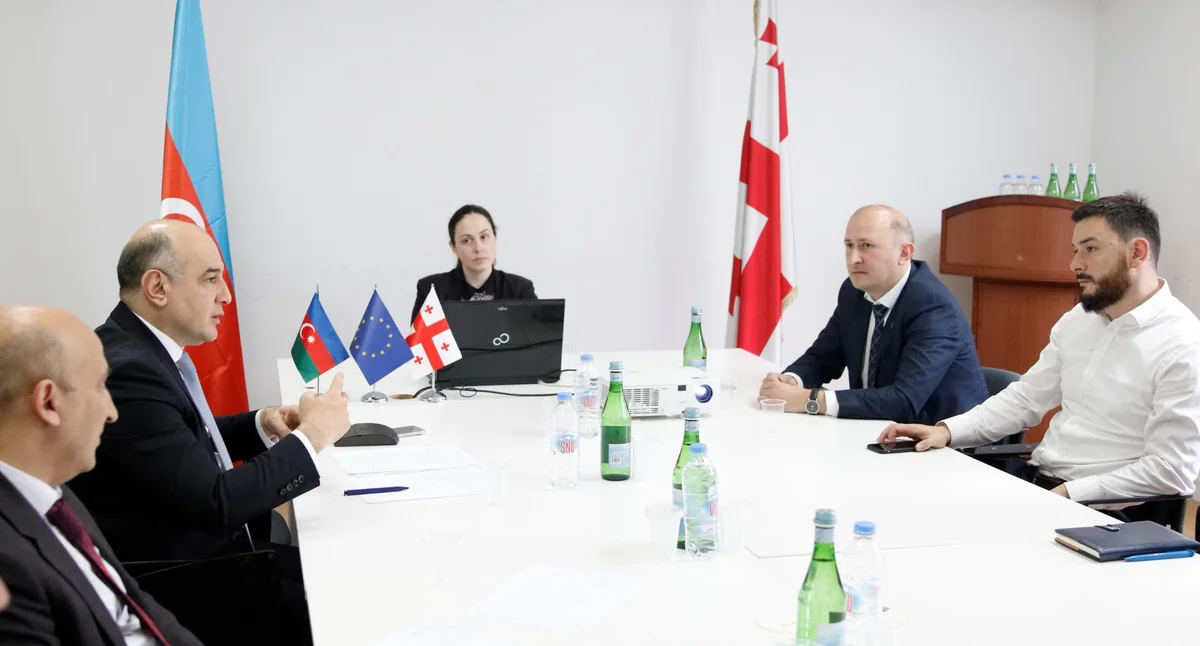 Azərbaycan Gürcüstanın vergilər sahəsində apardığı islahatlarla tanış olub