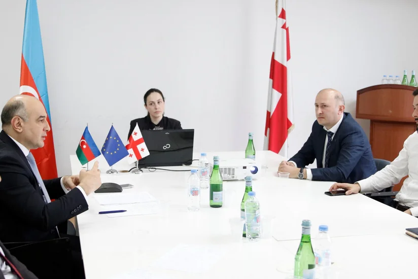 Azərbaycan Gürcüstanın vergilər sahəsində apardığı islahatlarla tanış olub