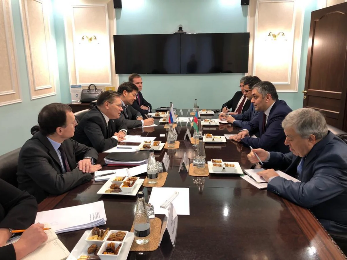 Ramin Quluzadə ROSATOMun rəhbərliyi ilə görüşüb