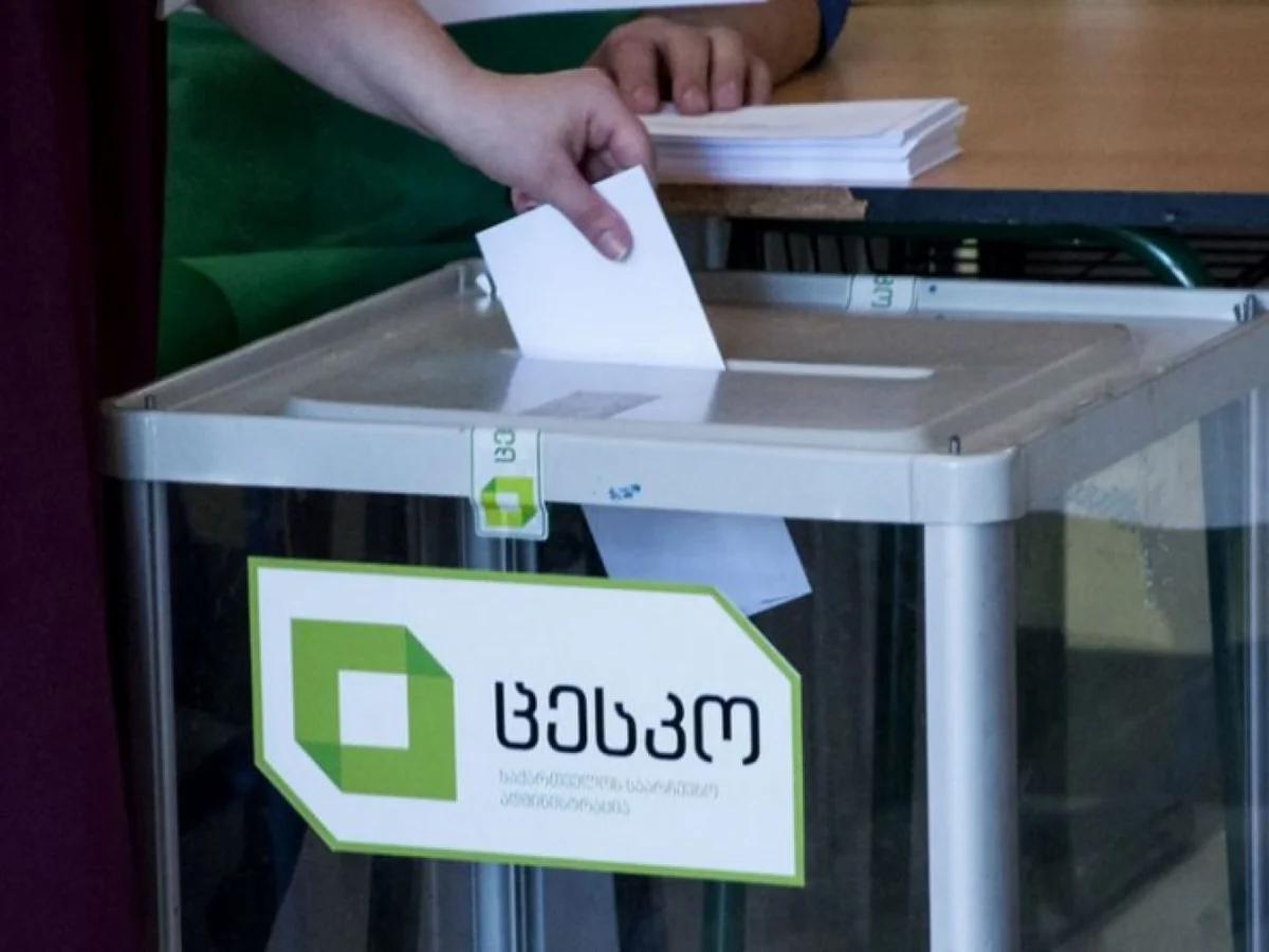 Repeated elections held in four polling stations in Georgia