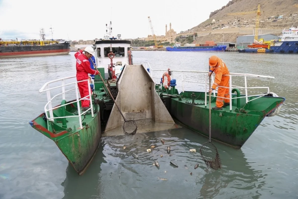 Azərbaycan bu il Xəzər dənizindən 160 ton şüşə çıxarıb
