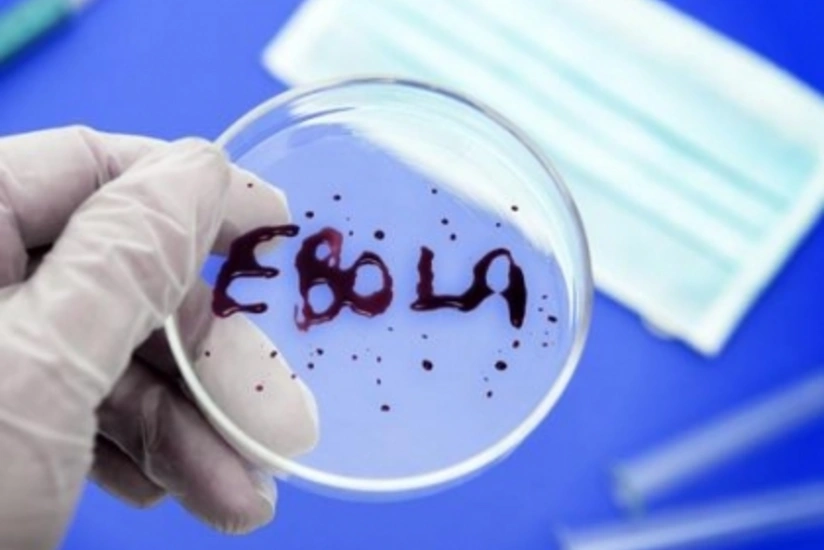 Вирус Эбола распространяется быстрее, чем может контролировать ВОЗ