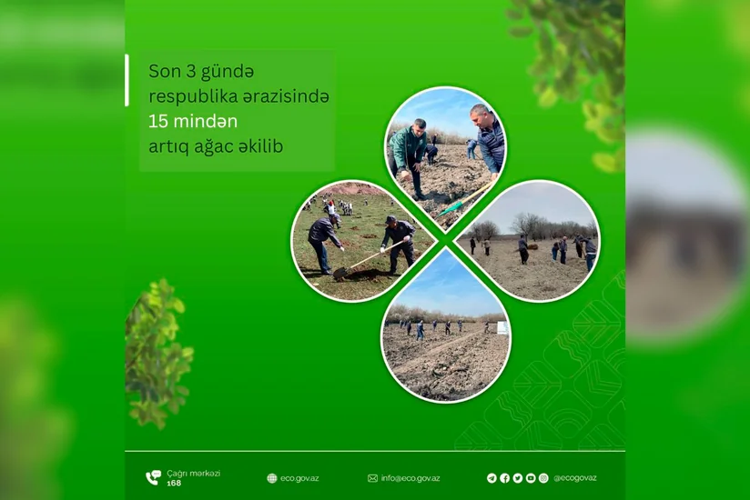 Son 3 gündə ölkə ərazisində 15 mindən artıq ağac əkilib