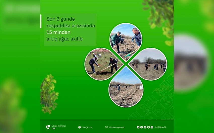 Son 3 gündə ölkə ərazisində 15 mindən artıq ağac əkilib