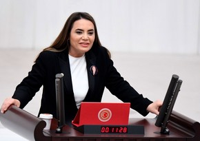 Ayyuce Turkes Tas: Northern Cyprus's involvement in OTS's informal summit is positive message to int’l community