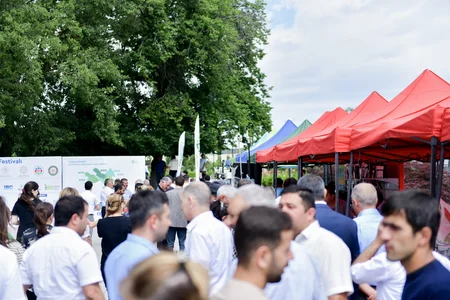 В Хызы прошел фестиваль аграрного бизнеса