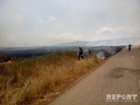 Fire occurred at Khaltan cemetery of Shabran region