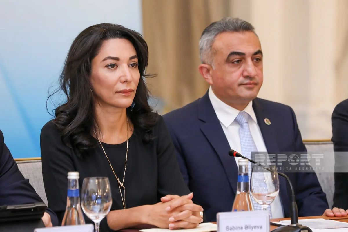 Сабина Алиева: Обеспечение прав предпринимателей – один из приоритетов деятельности омбудсмена