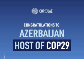 British expert: Azerbaijan could make a unique contribution to COP29