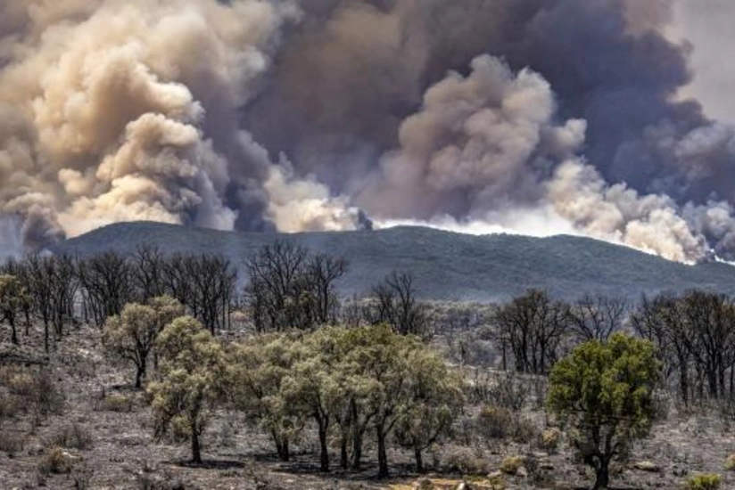 Mərakeşdə min hektar meşə yanıb, 1100 ailə təxliyə edilib