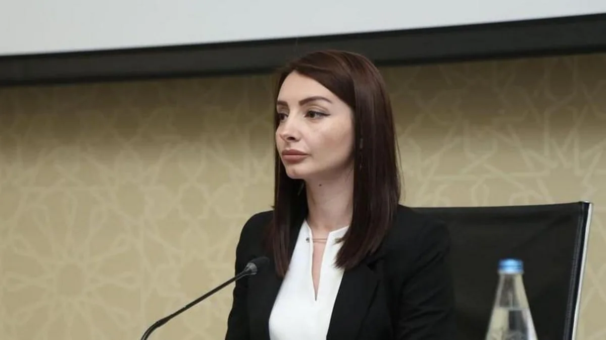 Leyla Abdullayeva Fransa XİN-in departament direktoru ilə görüşüb