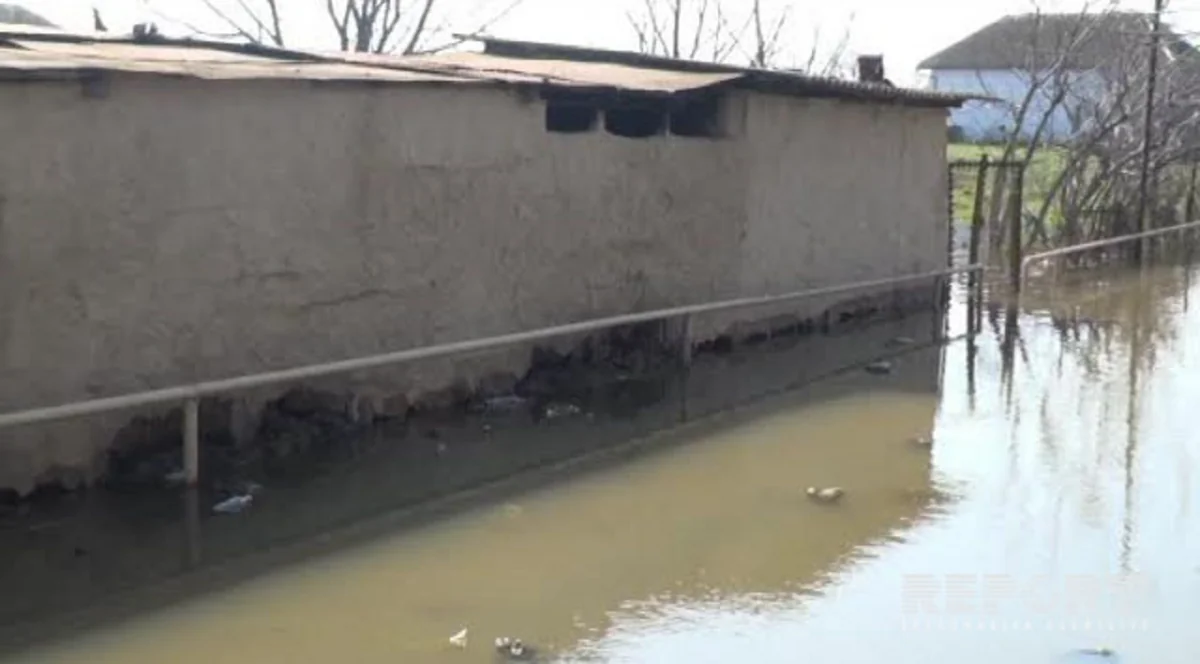 Cəlilabadda qrunt suları problemlər yaradıb - FOTO