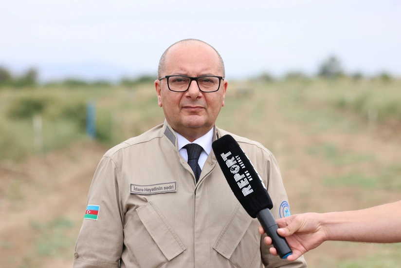 ANAMA sədri: Vətən müharibəsindən indiyədək 377 nəfər minaların qurbanı olub