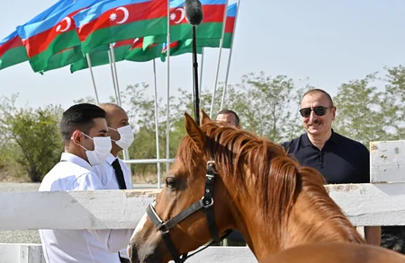 Президент и первая леди заложили фундамент Центра племенного коневодства в Агдаме
