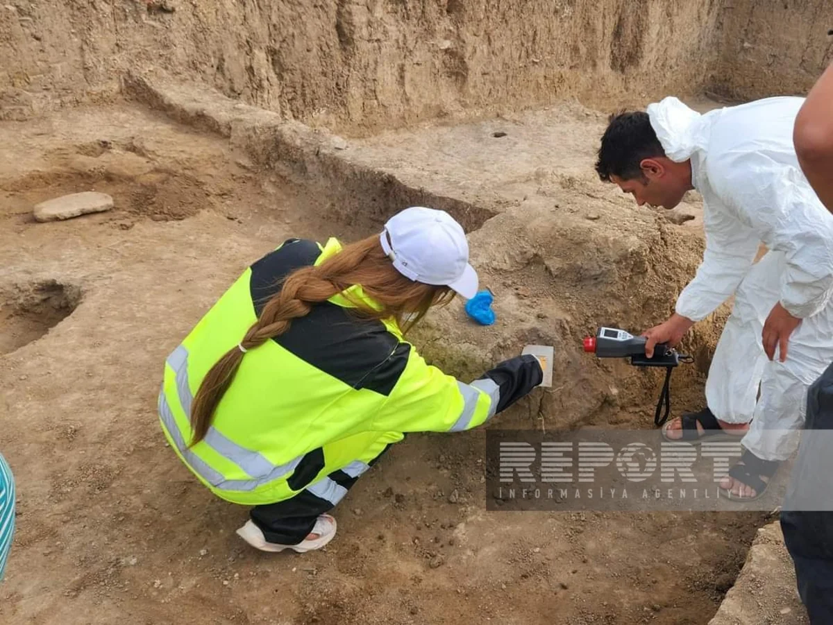 Paşatəpə yaşayış məskənində yaştəyini üçün nümunələr götürülüb