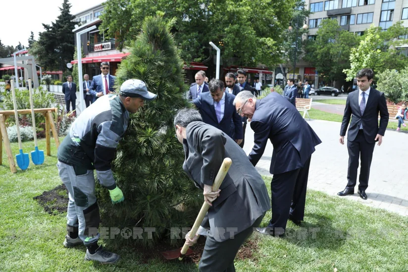В Баку посадили деревья в честь 30-летия дипотношений между Азербайджаном и Пакистаном