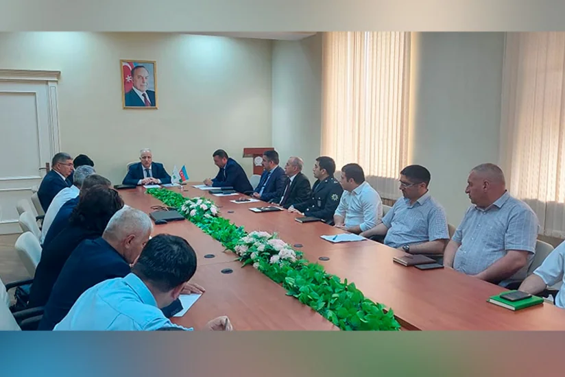 Regional Əlaqələndirmə Mərkəzi qəhvəyi mərmər bağacığı ilə bağlı tədbirləri davam etdirir