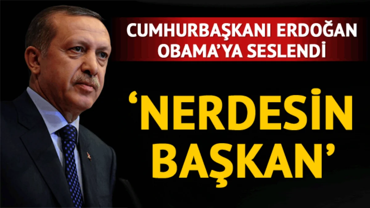 Ərdoğan: Hardasan Obama?