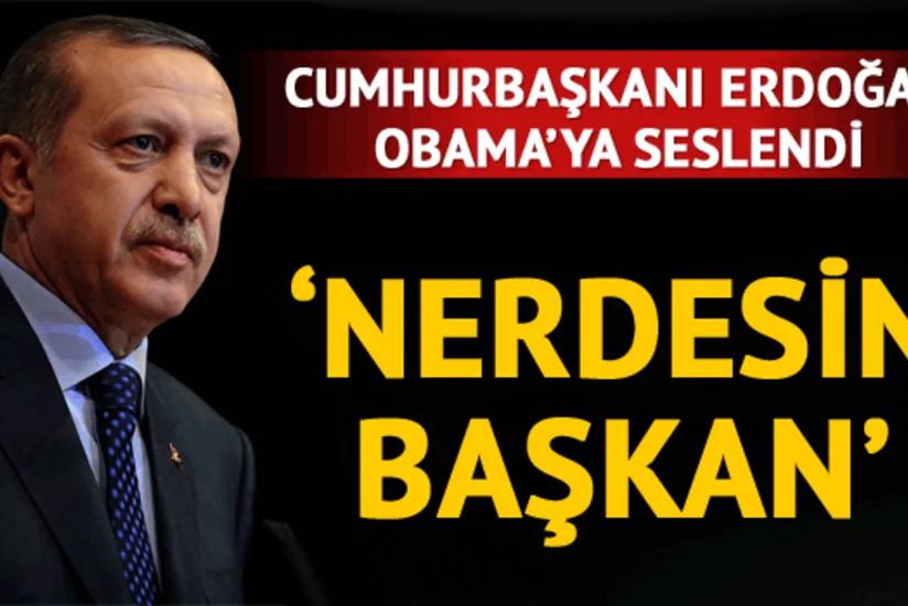 Ərdoğan: Hardasan Obama?