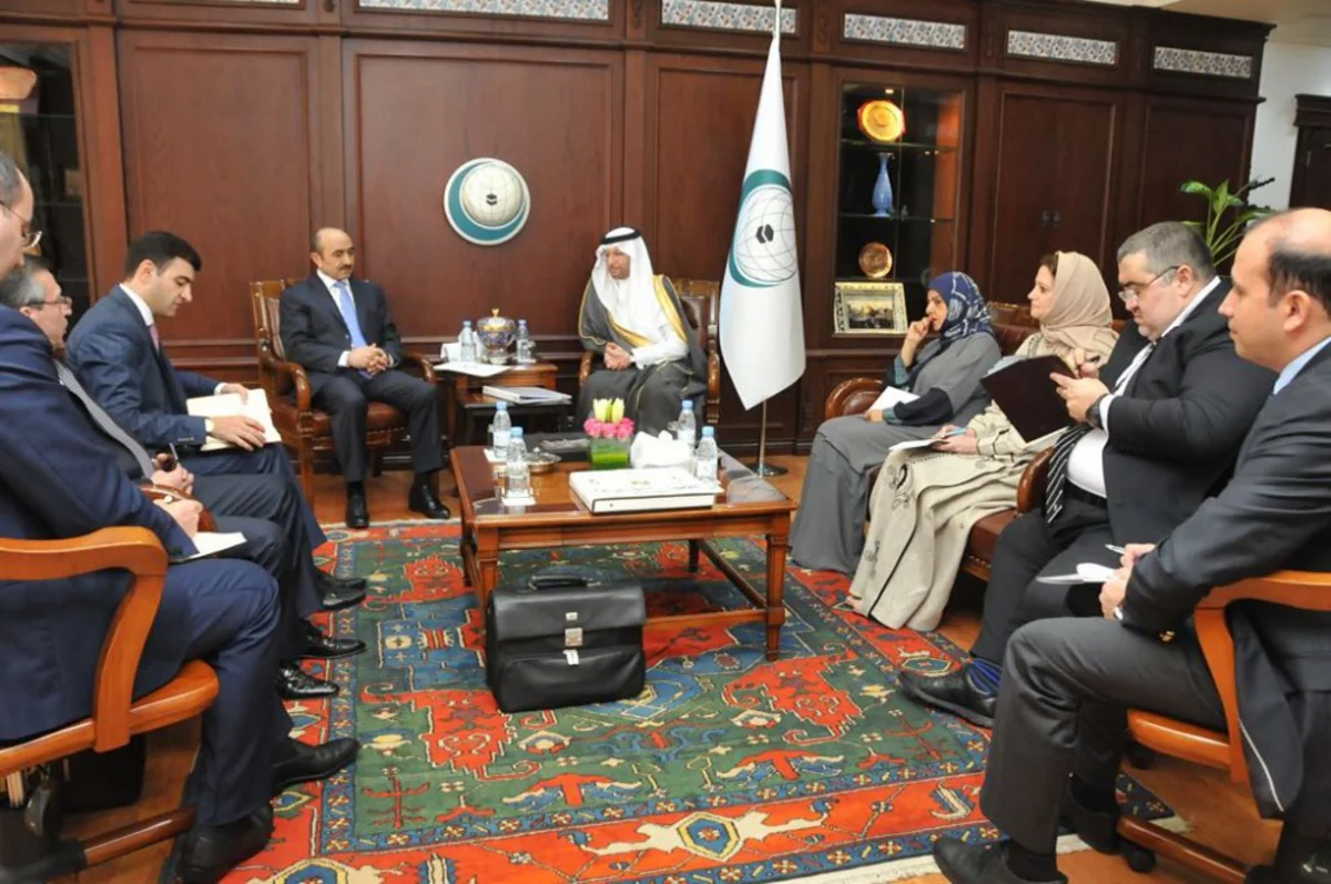 Azerbaijani President's Assistant meets OIC Secretary General