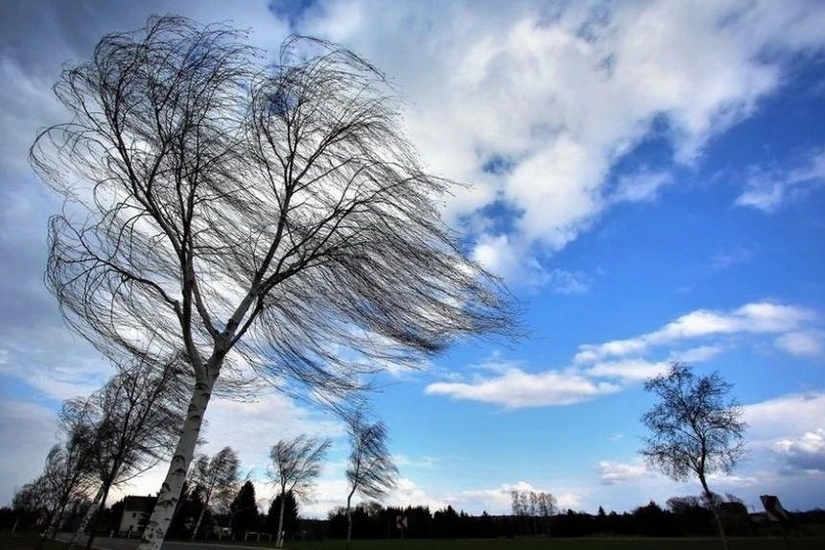 Strong wind will blow tomorrow - WARNING