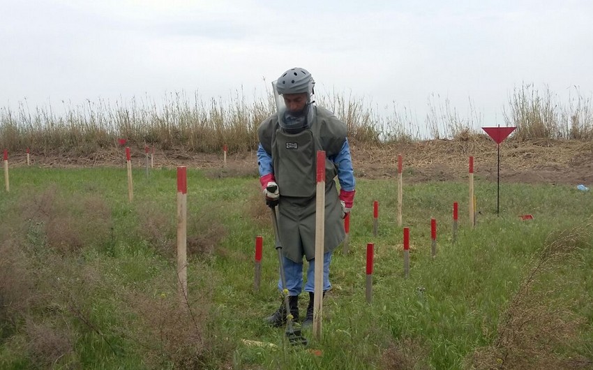 Cocuq Mərcanlıda 4 ədəd tank əleyhinə mina partladıcısı aşkarlanıb
