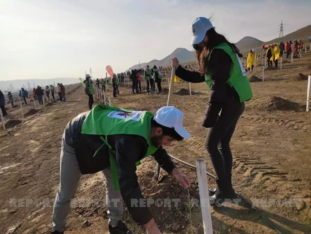 Xocasəndə 2000-dən çox müxtəlif cinsli ağac əkilib