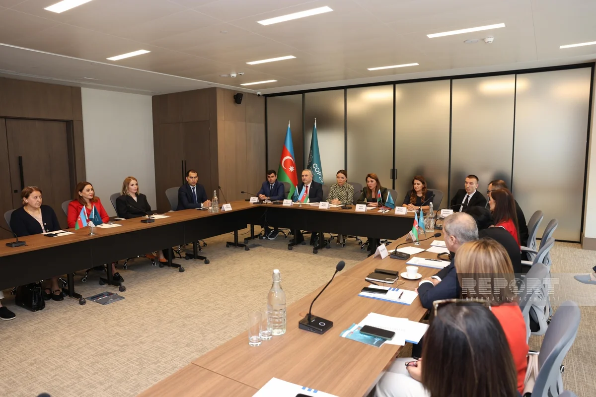 QHT-lər üçün COP29-da Yaşıl Bölgə ilə bağlı informasiya sessiyası təşkil olunub