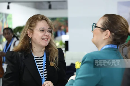 На COP29 представлены павильоны разных стран