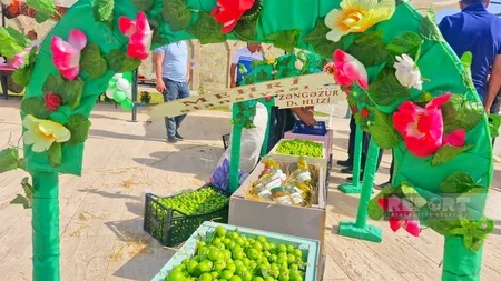 Naxçıvanda “Göycə” festivalı keçirilir