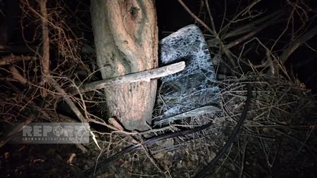 В Огузе автомобиль врезался в дерево, есть пострадавшие