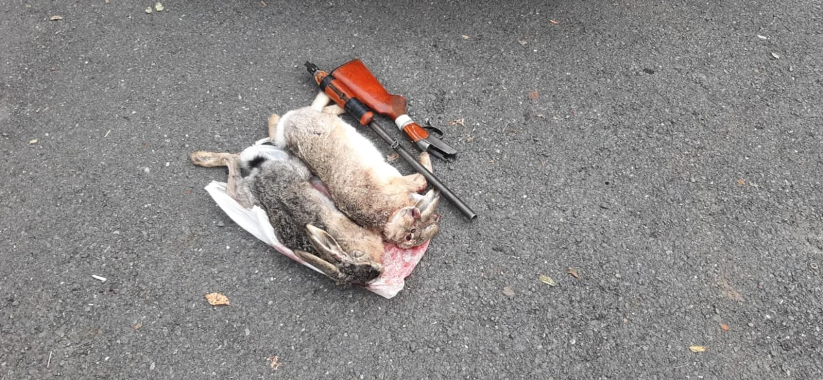 Qaxda qanunsuz ov edən şəxslər saxlanılıb