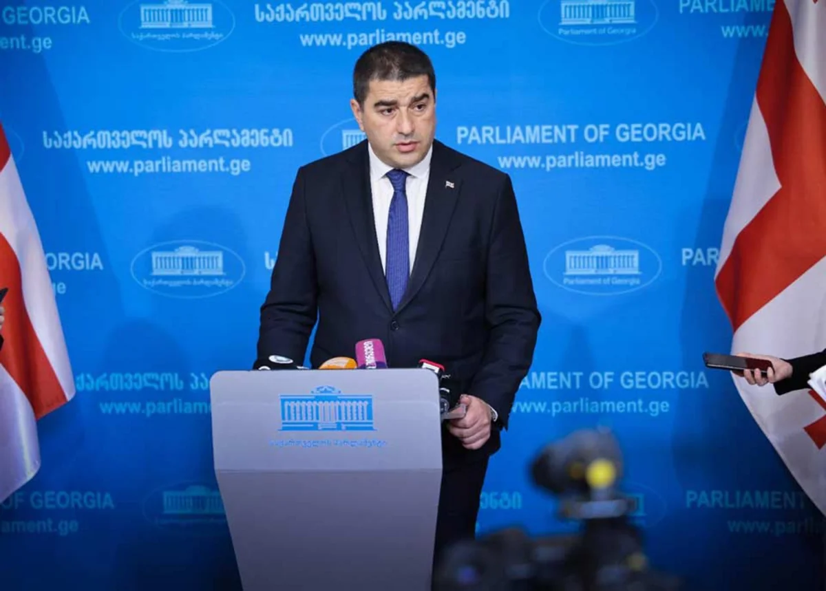 Georgia won't impose any sanctions on Russia, speaker says